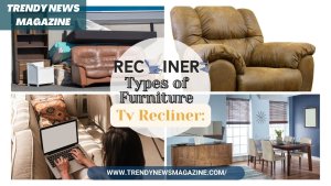 Types of Furniture Present by Tv Recliner