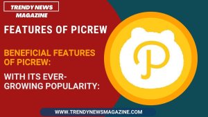 Features of Picrew